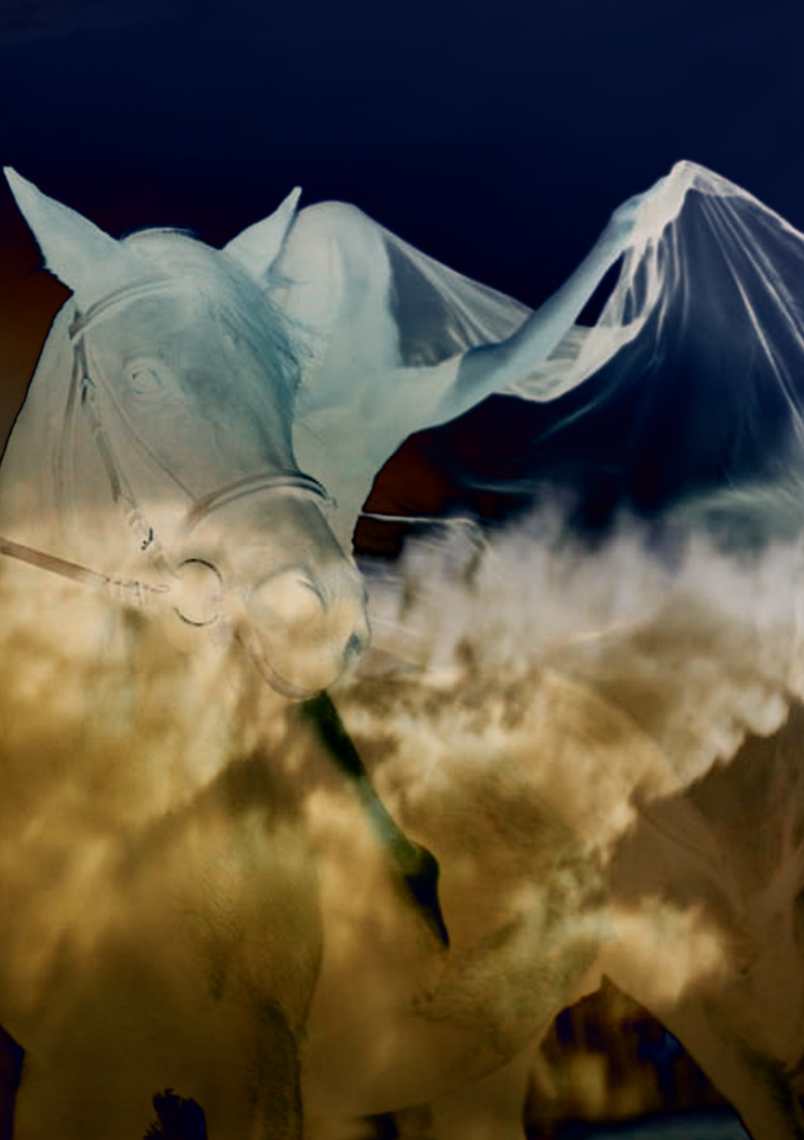 sztuka nierozpoznana